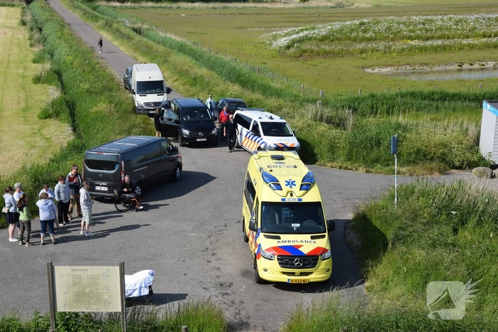 Duiker gewond bij waterongeval