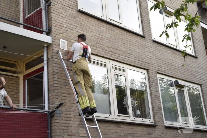 Brandweer ingezet voor vogelnest in muur