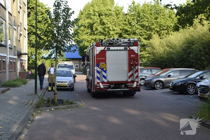 Brandweer ingezet voor vogelnest in muur