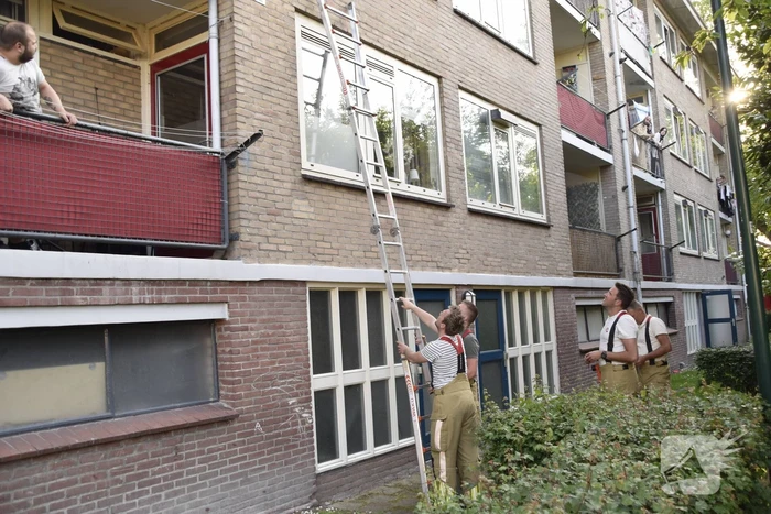 Brandweer ingezet voor vogelnest in muur