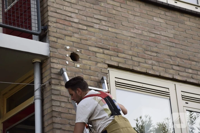 Brandweer ingezet voor vogelnest in muur