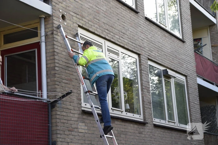 Brandweer ingezet voor vogelnest in muur