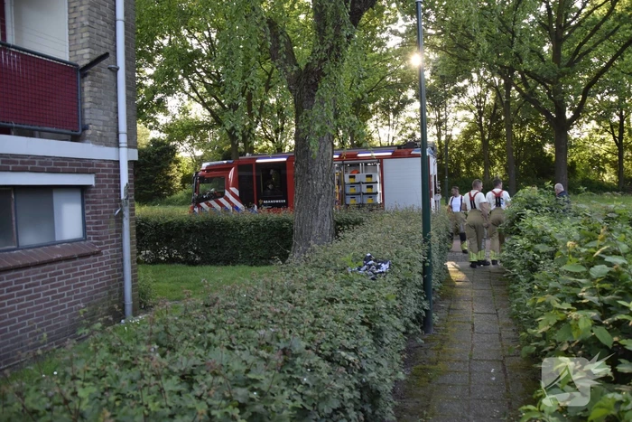 Brandweer ingezet voor vogelnest in muur
