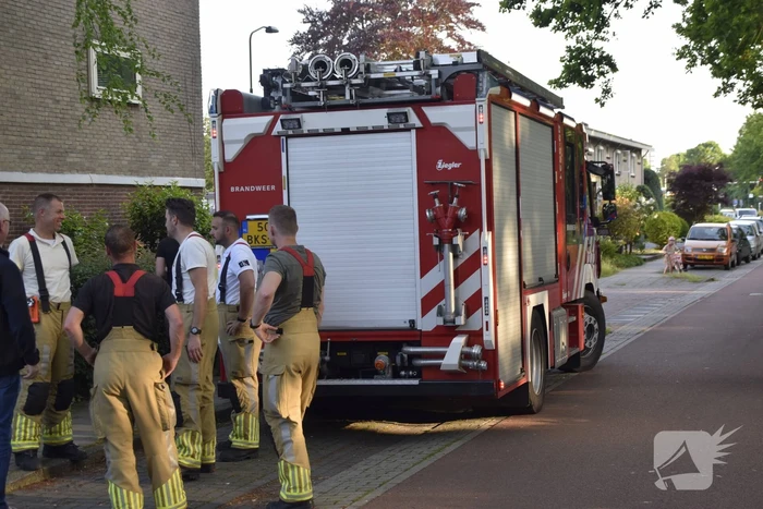 Brandweer ingezet voor vogelnest in muur