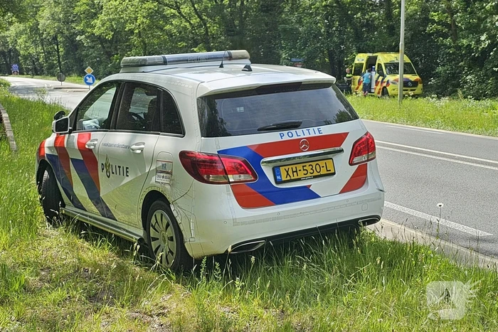 Wielrenner ten val door hond, hond aangereden door auto