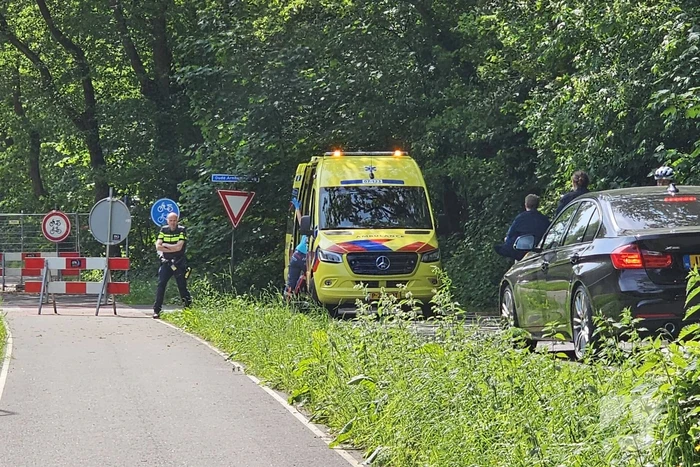 Wielrenner ten val door hond, hond aangereden door auto