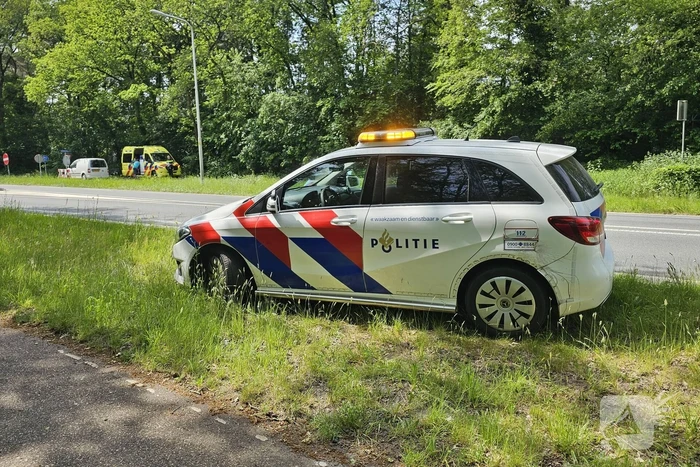 Wielrenner ten val door hond, hond aangereden door auto