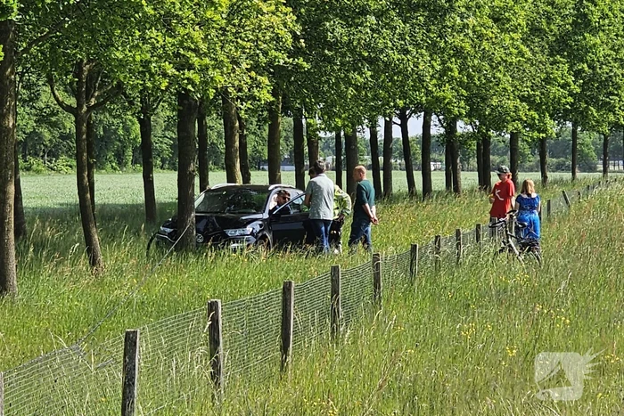 Automobilist raakt van de weg en ramt boom