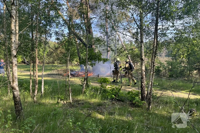 Bosbrand snel onder controle