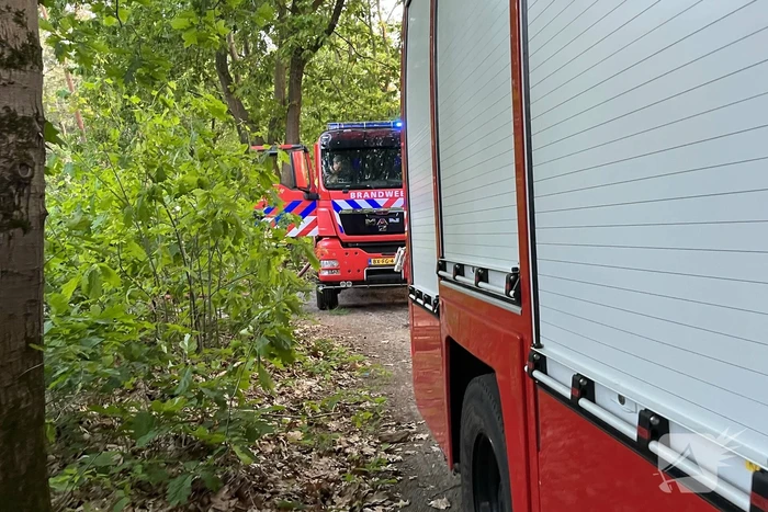 Brandweer groots ingezet voor bosbrand