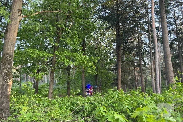 Brandweer groots ingezet voor bosbrand