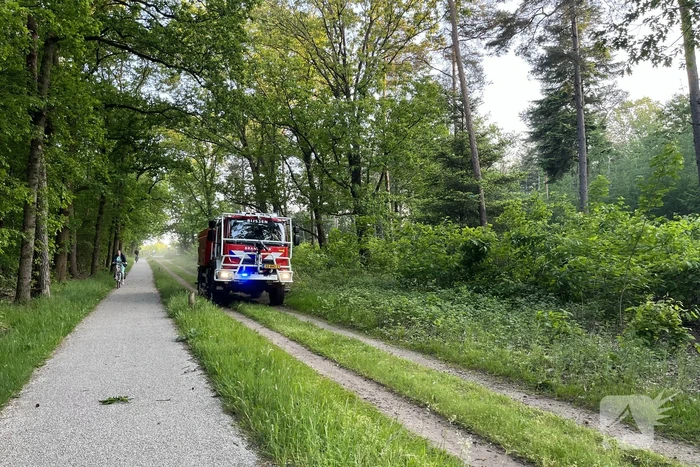 Brandweer groots ingezet voor bosbrand