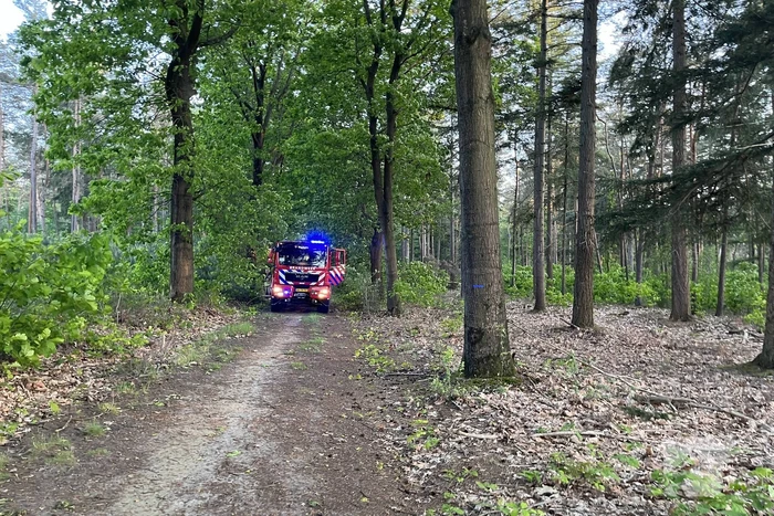 Brandweer groots ingezet voor bosbrand