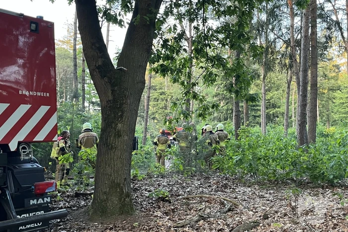 Brandweer groots ingezet voor bosbrand