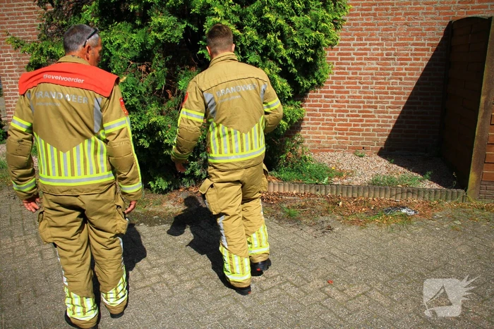 Onkruidverbranding loopt uit de hand, coniferen vatten vlam