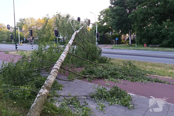 Brandweer ingezet voor omgevallen boom