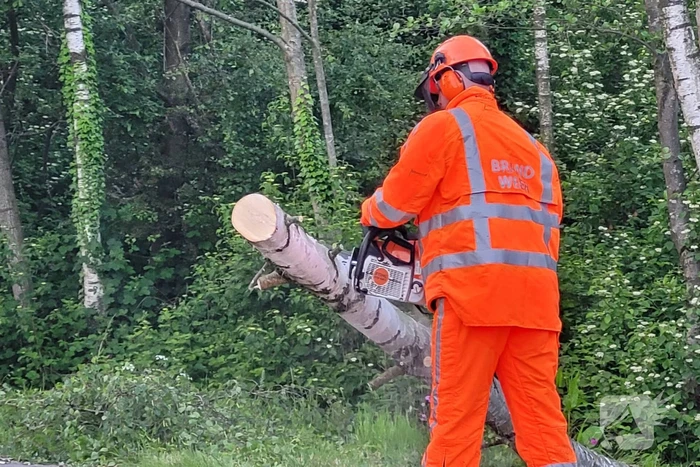 Brandweer ingezet voor omgevallen boom