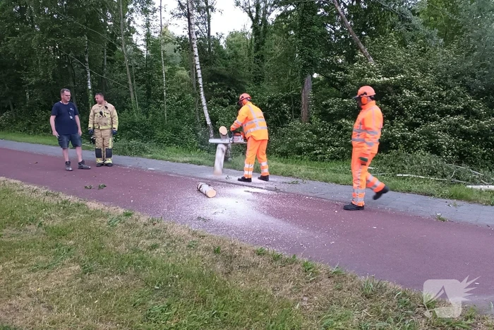 Brandweer ingezet voor omgevallen boom