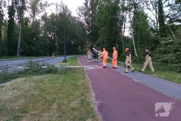 Brandweer ingezet voor omgevallen boom