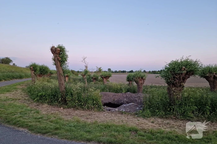 Raadselachtig gat ontdekt langs dijk