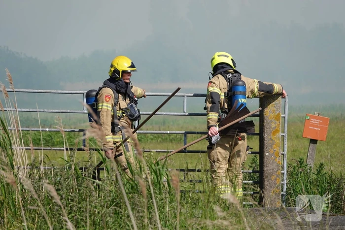 Schaapjes in veiligheid gebracht bij hevige rietbrand