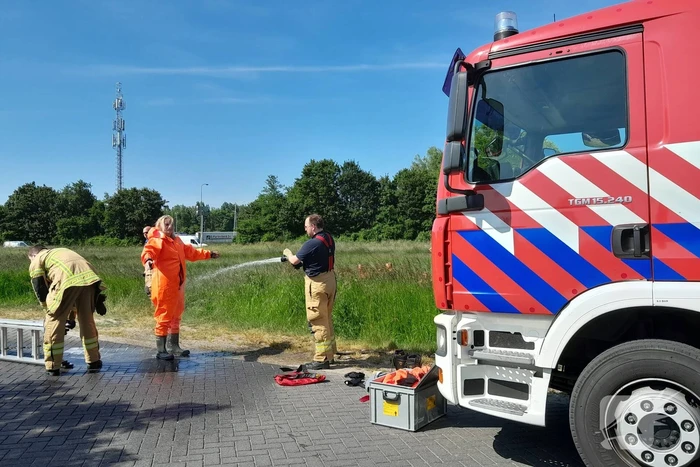 Brandweer haalt paard uit de sloot