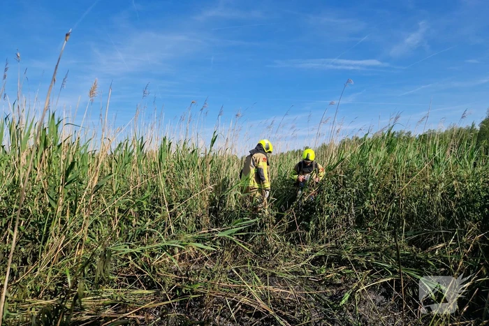 Rietbrand snel onder controle