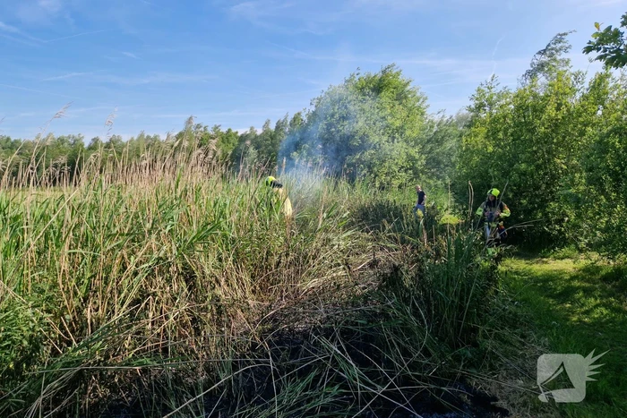Rietbrand snel onder controle