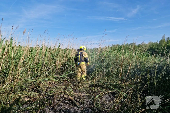 Rietbrand snel onder controle