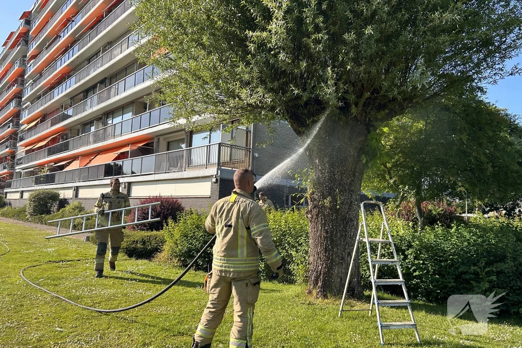 Kloosplantsoen 112 nieuws Ridderkerk 