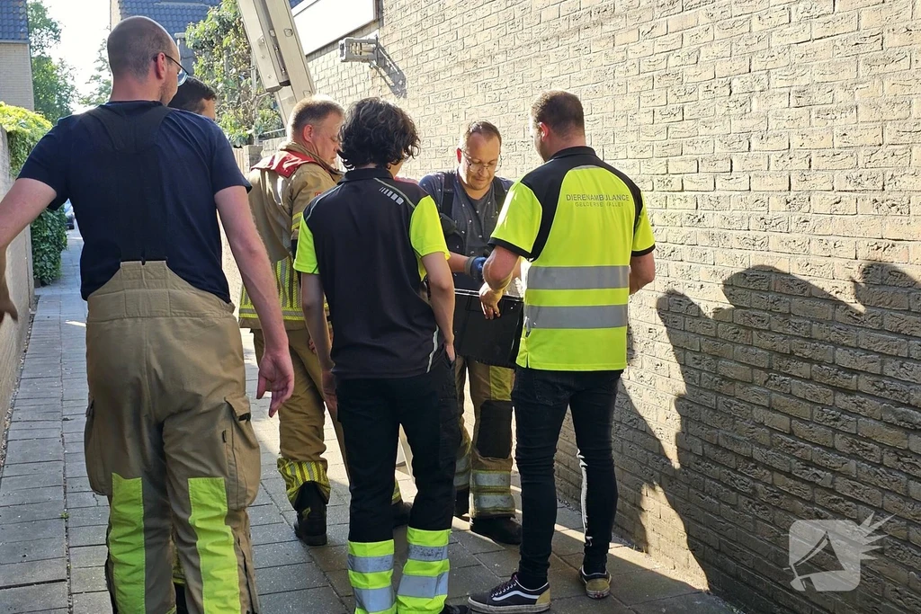 Brederodelaan Nieuws Veenendaal 
