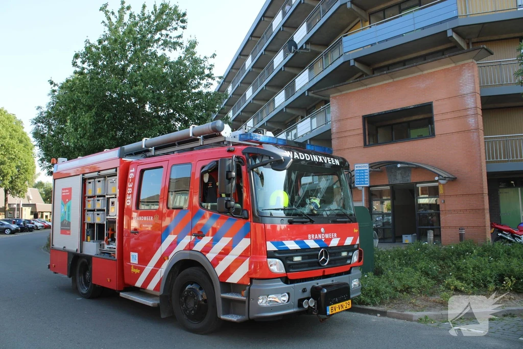 Wingerd 112 nieuws Waddinxveen 