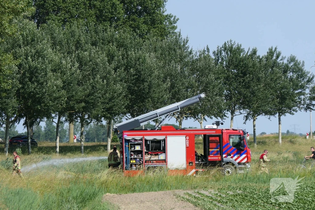 Pancrasgorseweg 112 nieuws Rockanje 