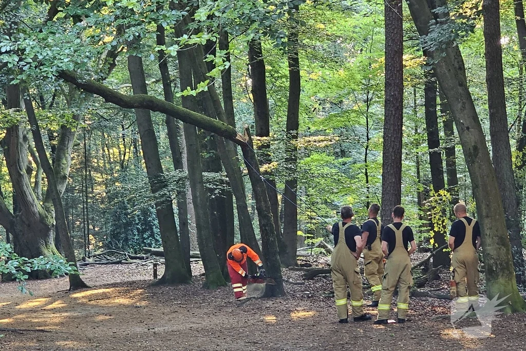 Driebergweg 112 nieuws Ede 
