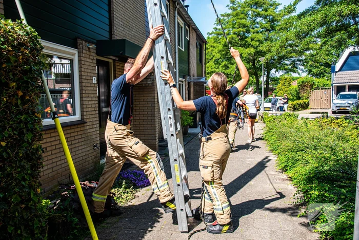 Sluwe kat weet brandweer opnieuw te slim af te zijn