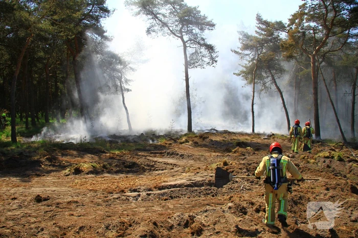 brand geuzendijk budel