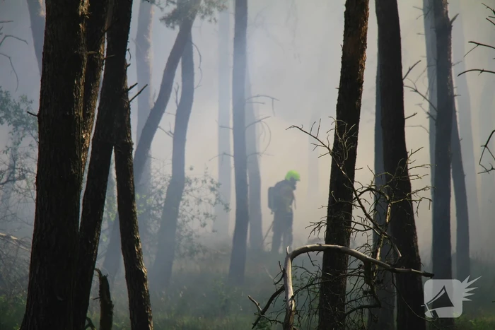 Brandweer rijdt zich vast bij natuurbrand
