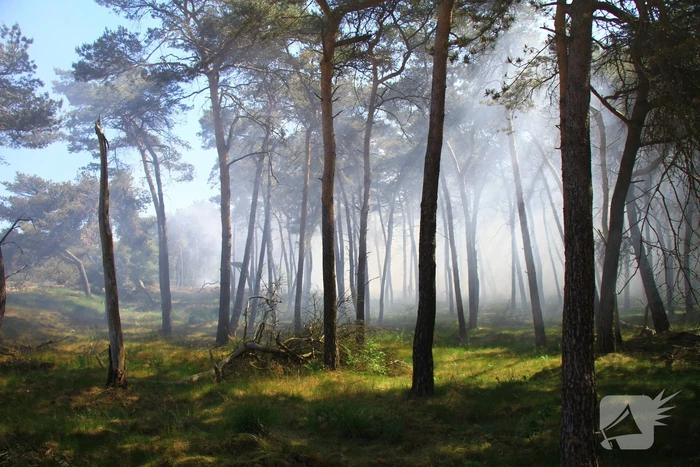 Brandweer rijdt zich vast bij natuurbrand