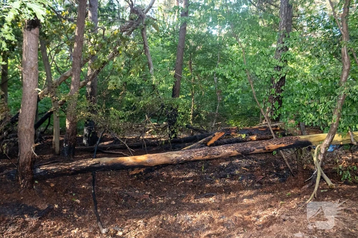 Brandweer blust brand in natuurgebied