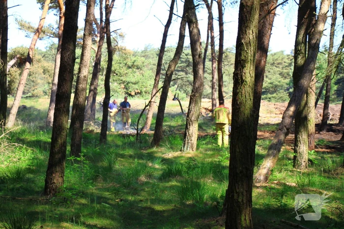 Brand in bos laait weer op