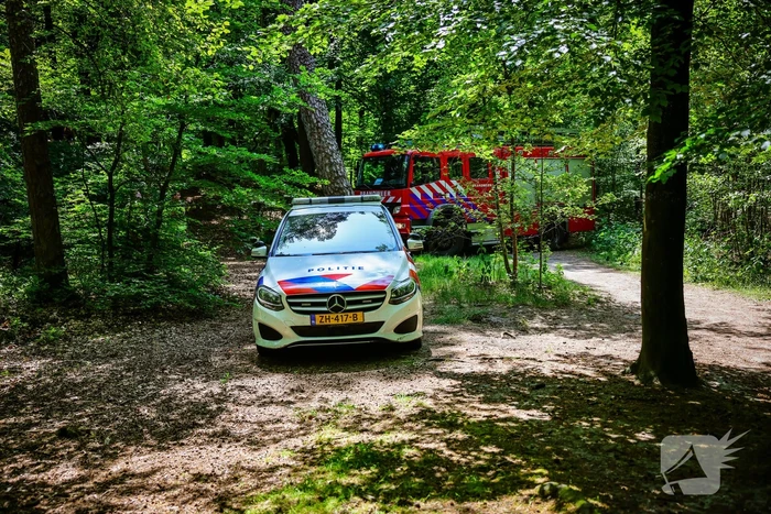 Flinke brand in natuurgebied Birkhoven