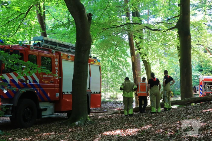 Flinke brand in natuurgebied Birkhoven