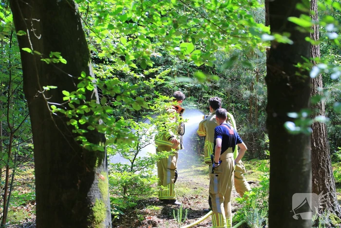 Flinke brand in natuurgebied Birkhoven