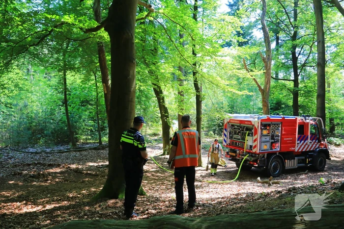 Flinke brand in natuurgebied Birkhoven