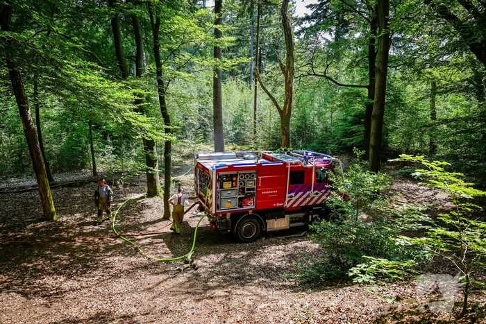 Flinke brand in natuurgebied Birkhoven