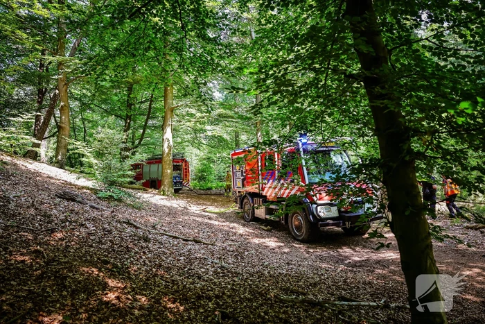 Flinke brand in natuurgebied Birkhoven