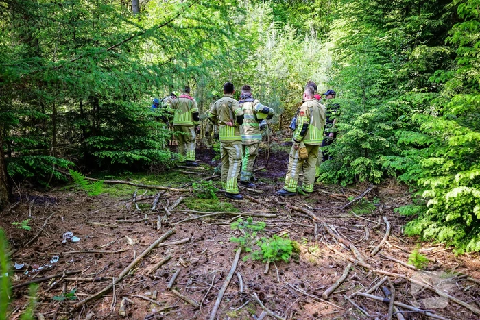 Flinke brand in natuurgebied Birkhoven