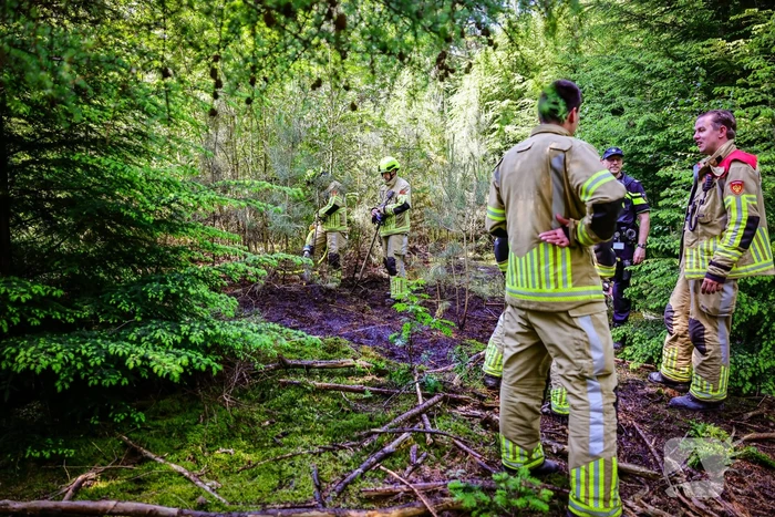 Flinke brand in natuurgebied Birkhoven