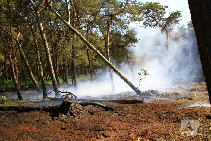 Wederom natuurbrand, brandweer rijdt zich vast