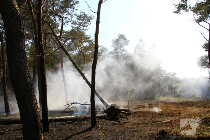 Wederom natuurbrand, brandweer rijdt zich vast